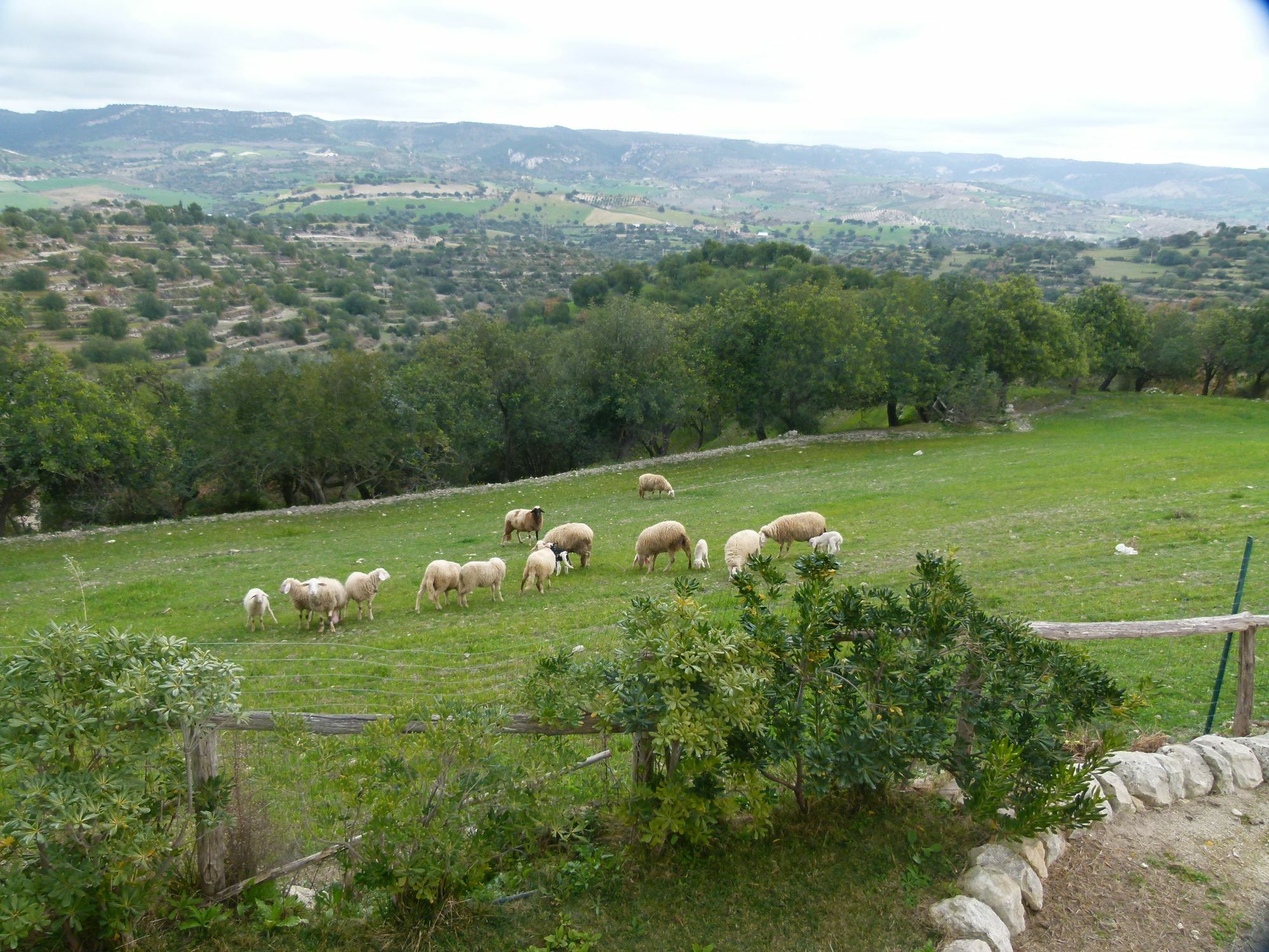 Agriturismo Villa Gaia Модіка Екстер'єр фото